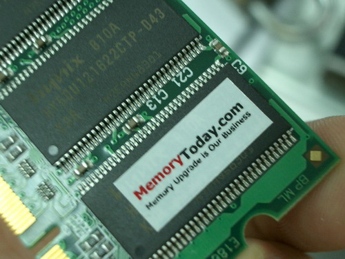 IMGP9490.JPG