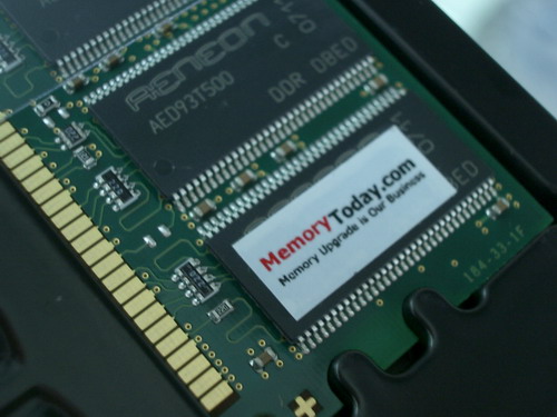 IMGP9491.JPG