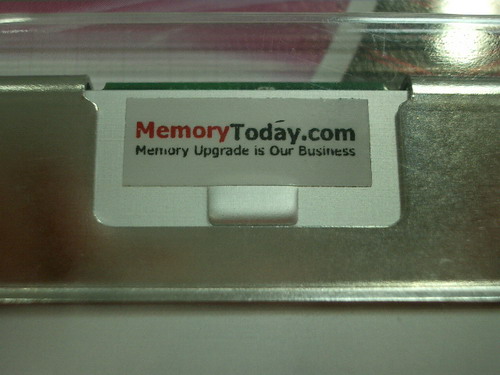 IMGP9499.JPG