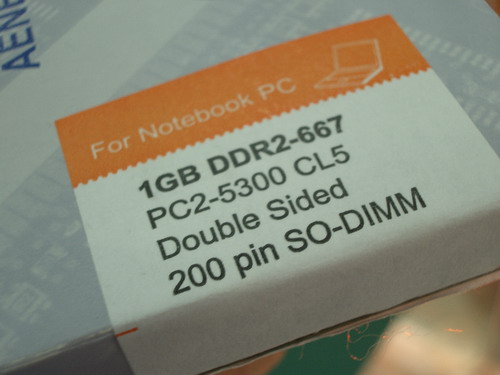 IMGP9503.JPG