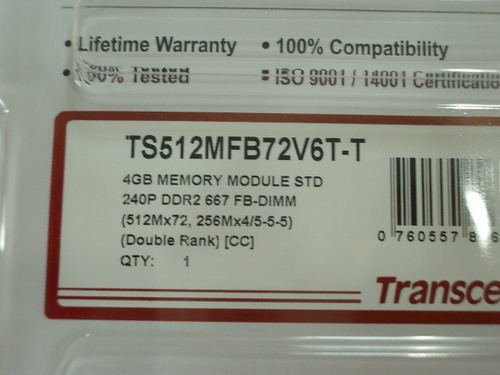 IMGP9503.JPG