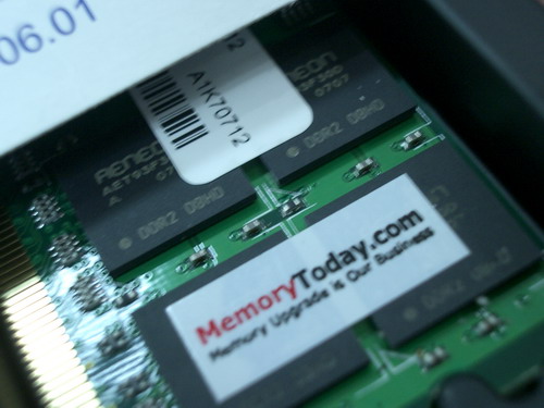 IMGP9504.JPG