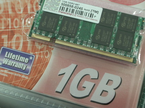 IMGP9506.JPG
