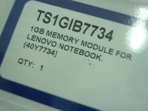 IMGP9507.JPG