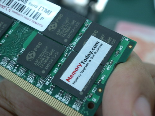 IMGP9508.JPG