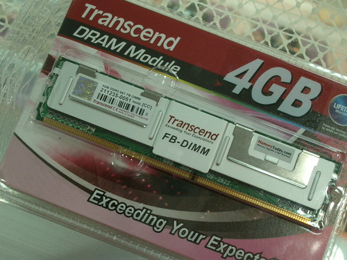 IMGP9508.JPG