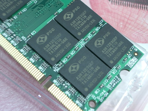 IMGP9509.JPG