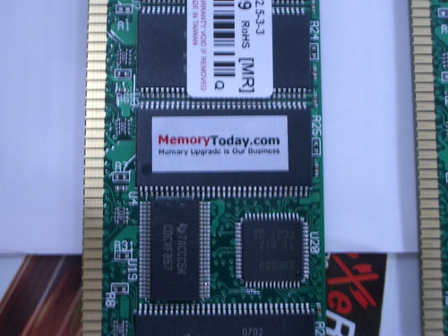 IMGP9515.JPG
