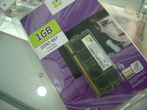 IMGP9527.JPG