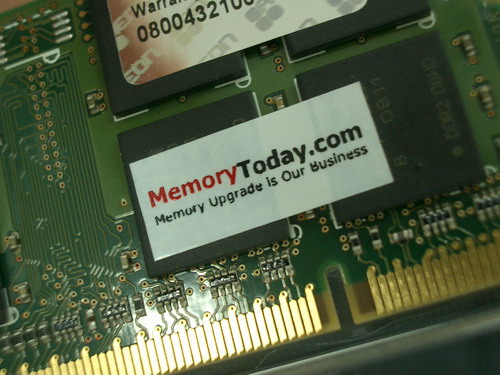 IMGP9528.JPG