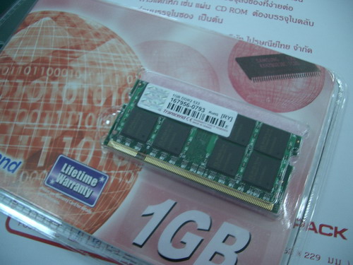 IMGP9529.JPG