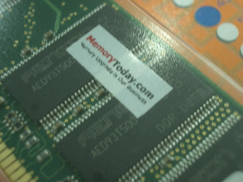 IMGP9532.JPG