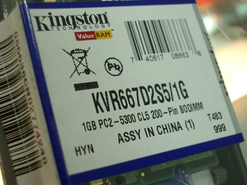 IMGP9534.JPG