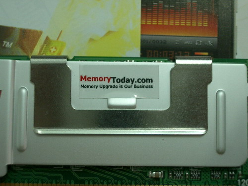 IMGP9536.JPG