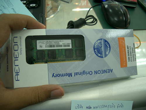IMGP9544.JPG