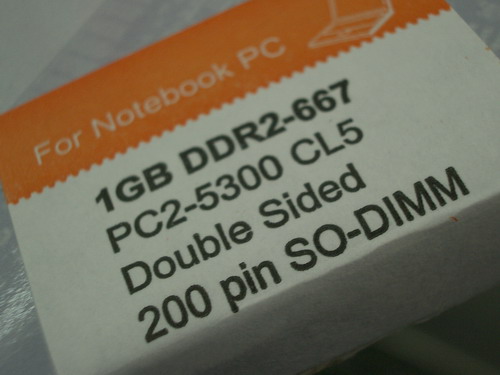 IMGP9545.JPG