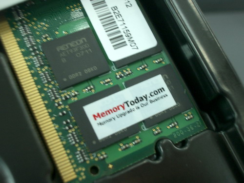IMGP9546.JPG