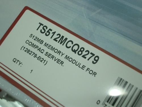 IMGP9550.JPG