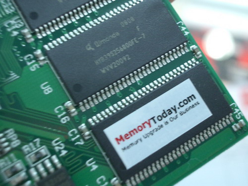 IMGP9554.JPG