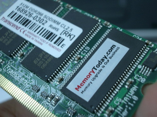IMGP9565.JPG