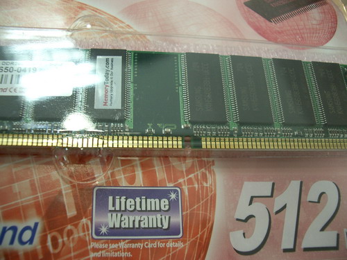 IMGP9568.JPG