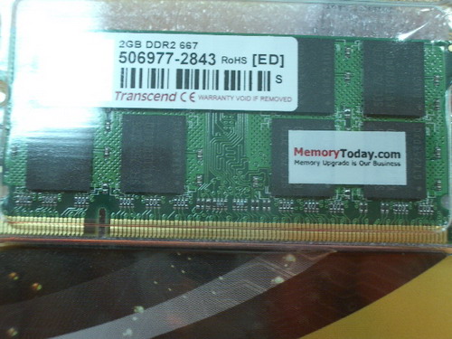 IMGP9572.JPG