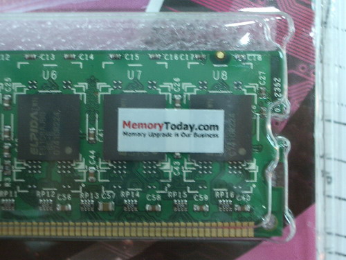 IMGP9576_resize.JPG