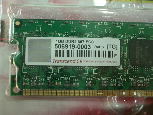 IMGP9577_resize.JPG