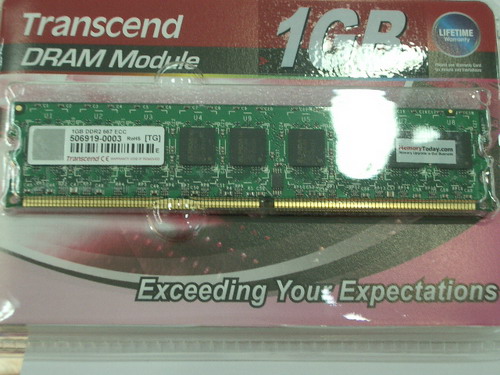 IMGP9578_resize.JPG