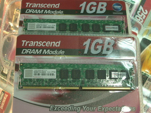 IMGP9579_resize.JPG