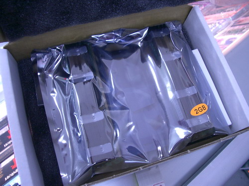 IMGP9582.JPG
