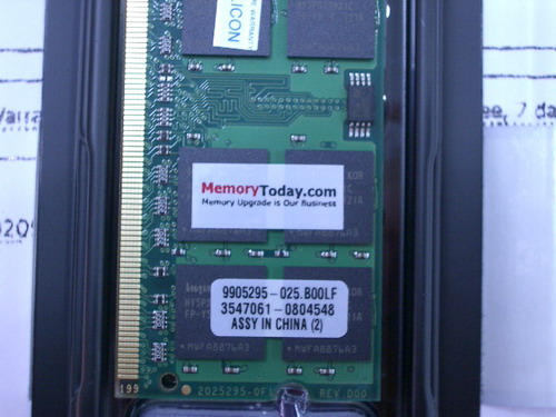 IMGP9582_resize.JPG