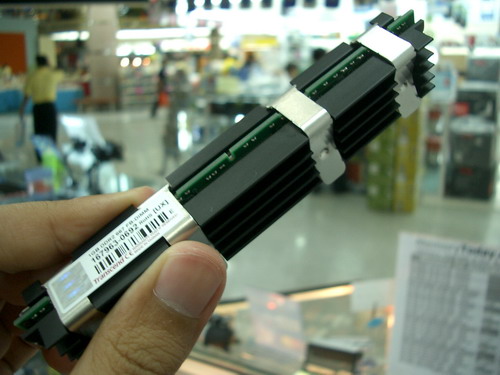 IMGP9583.JPG