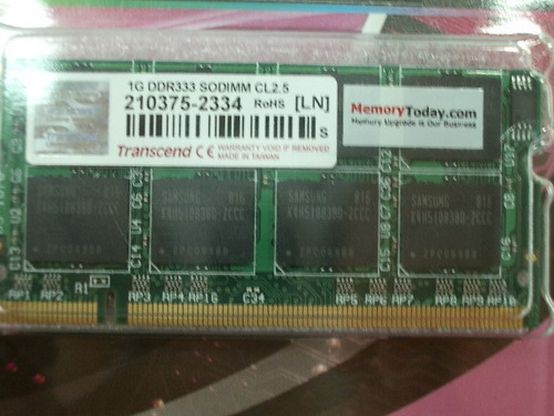 IMGP9585_resize.JPG