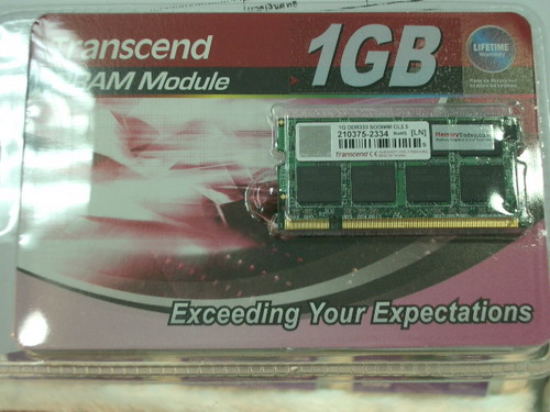 IMGP9586_resize.JPG