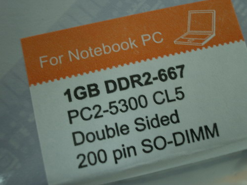 IMGP9587.JPG