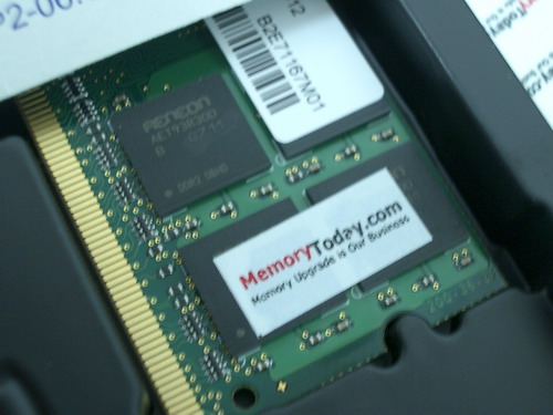 IMGP9589.JPG