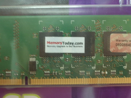 IMGP9593_resize.JPG