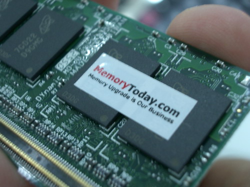 IMGP9600.JPG