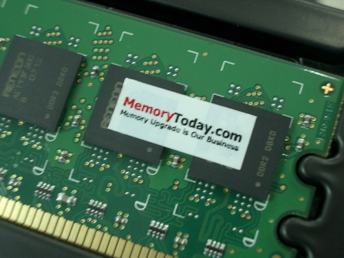 IMGP9604.JPG