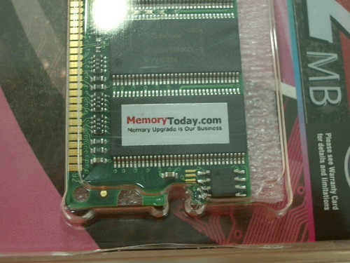 IMGP9609.JPG
