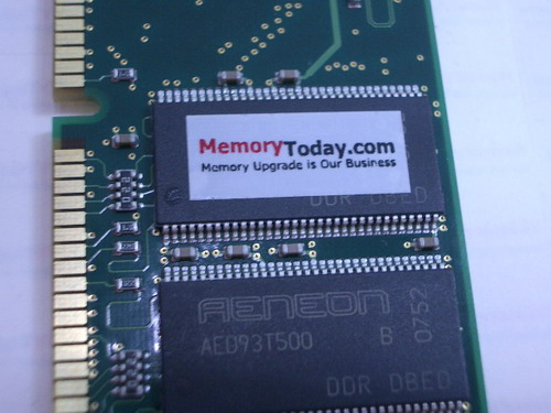 IMGP9612.JPG