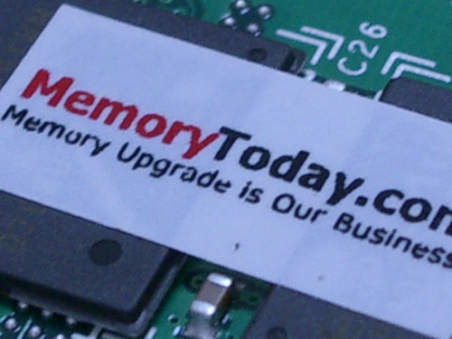 IMGP9614.JPG