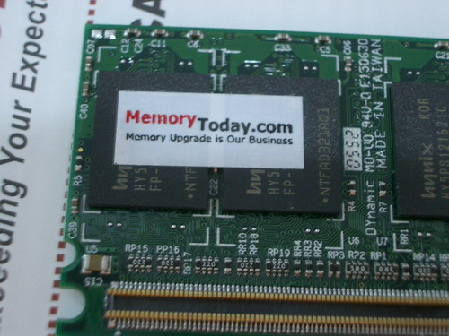 IMGP9617.JPG