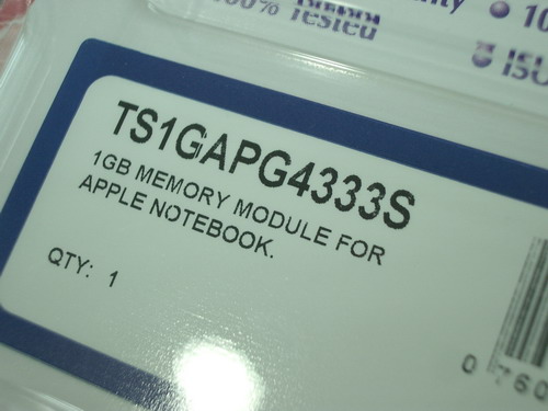 IMGP9620.JPG