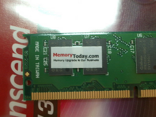 IMGP9621_resize.JPG