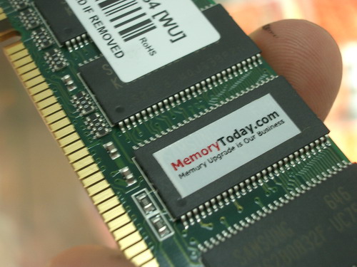 IMGP9624.JPG
