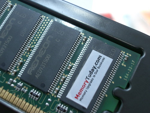 IMGP9627.JPG
