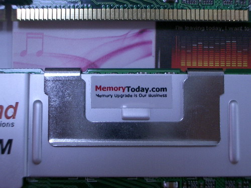 IMGP9642.JPG