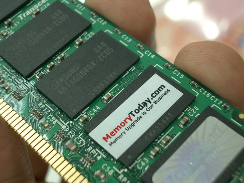 IMGP9644.JPG
